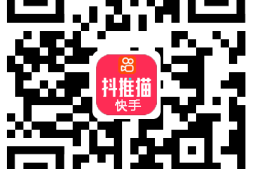 快手小程序推广ID是什么?