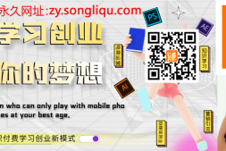 网上赚钱项目课程系列课程导航