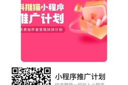 抖推猫推广计划快手小程序