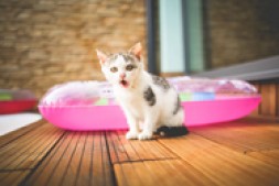 抖推新注册的号为何不能马上发作品,需要先养号?