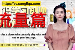 网上赚钱第五课-流量篇-什么是网络创业必备流量