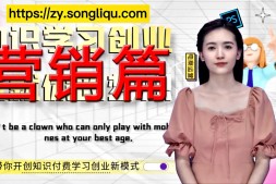 网上赚钱第六课-营销篇-什么是网络创业营销