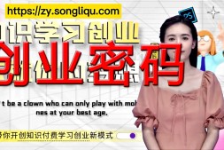 网赚第八课-创业篇-带你深度学习网络创业的密码