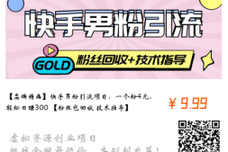 【高端精品】快手男粉引流项目,一个粉4元,轻松日赚300+【粉丝包回收+技术指导】