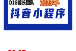 免费送- 抖推猫D1G 2023年收费990的小程序变现新玩法