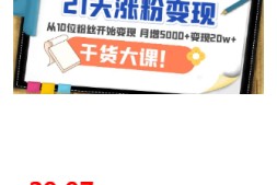21天精准涨粉变现干货大课:从10位粉丝开始变现 月增5000+变现20w+