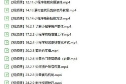 免费分享网上卖2980的抖音小程序课程