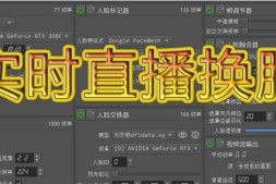 直播换脸视频教程,免费送软件送教程