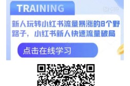 新人玩转小红书流量暴涨的8个野路子,小红书新人快速流量破局